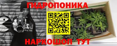 МДПВ Мариинск