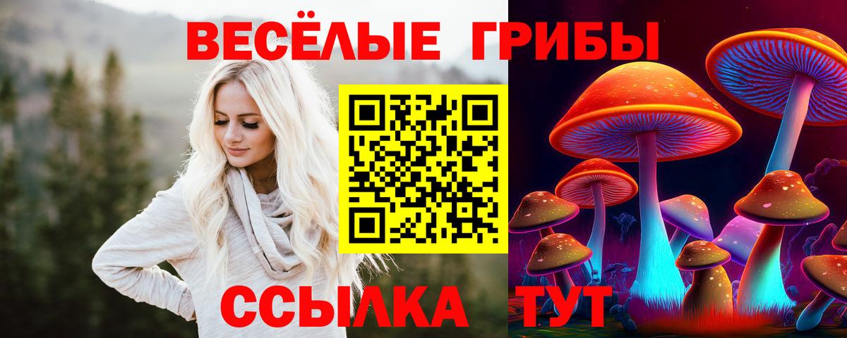 Псилоцибиновые грибы мухоморы Соликамск