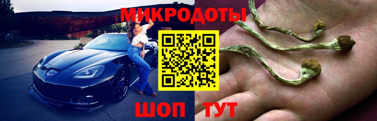 Галлюциногенные грибы прущие грибы  Вход с VPN  Соликамск 